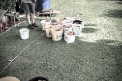 photo5354818234148302220_mw